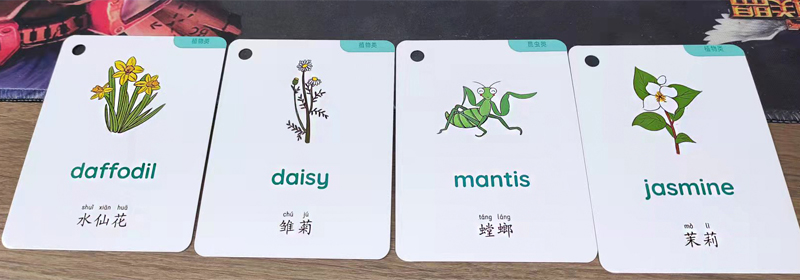 宝宝视觉发育 (3).jpg